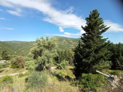 Poros_Blue _Green_003.jpg